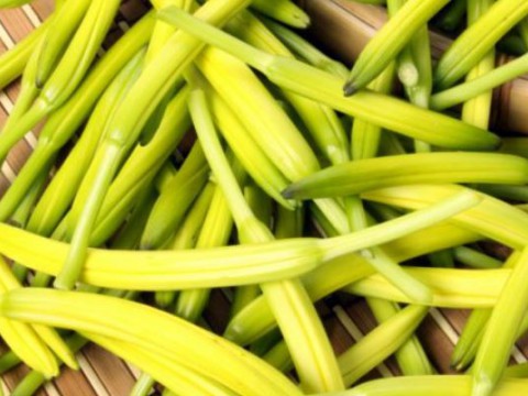 吃黄花菜容易中毒，吃起来安心
