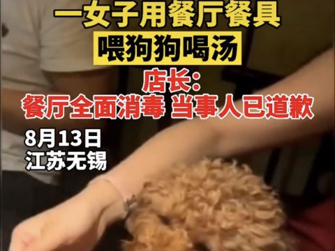 狗是人类最忠诚的朋友，大多数发现这位女子将小狗带入了餐厅