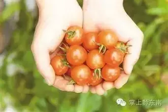 有机农业未来趋势_商业银行未来经营趋势_未来民航业的发展趋势