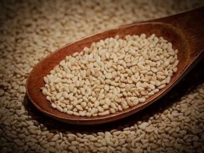 求购大量有机中药材芝麻图1