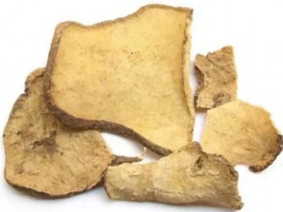 求购大量有机中药材金龟莲图1