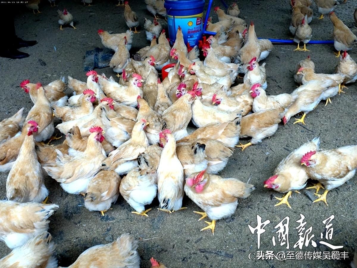 生物育种技术常用技术_分子生物学技术对生物进行改造_有机生物技术
