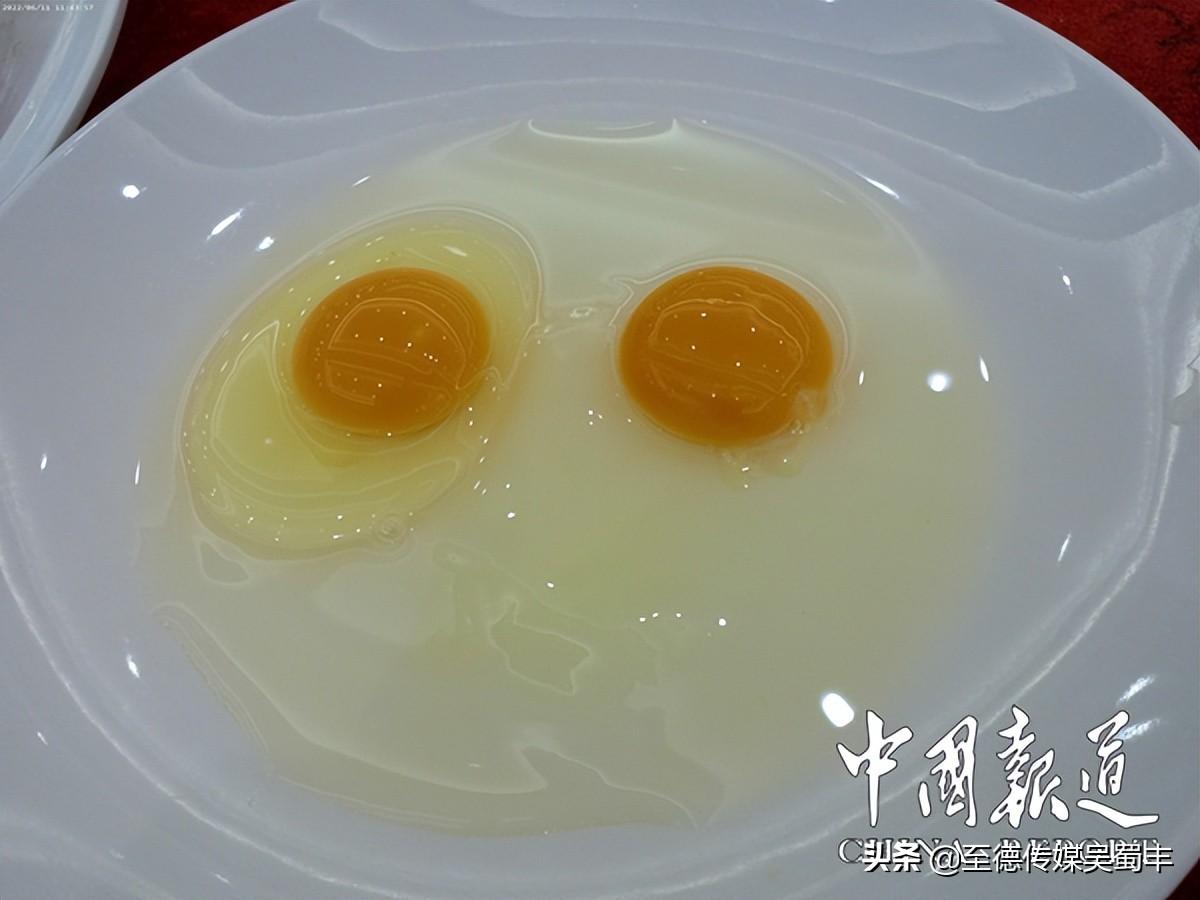 分子生物学技术对生物进行改造_有机生物技术_生物育种技术常用技术