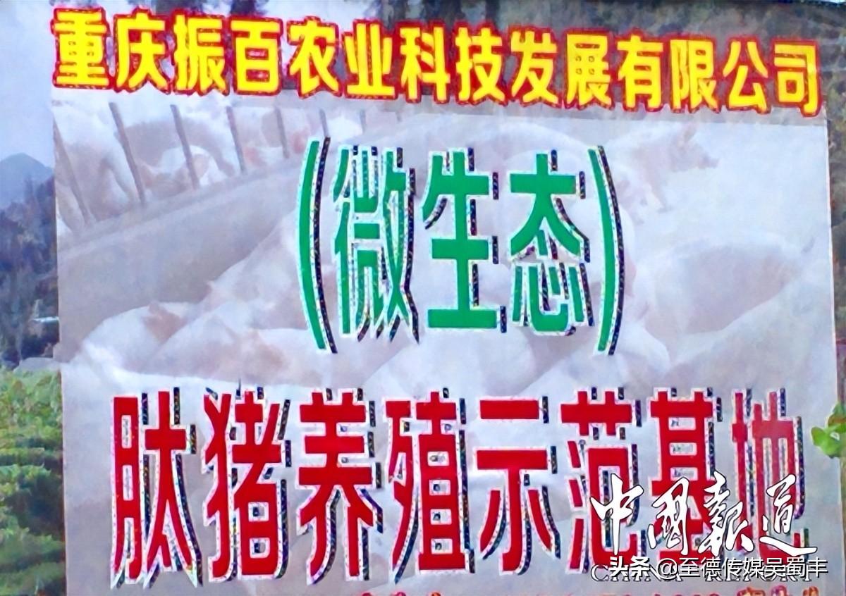 有机生物技术_生物育种技术常用技术_分子生物学技术对生物进行改造