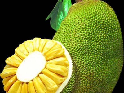 求购大量有机菠萝蜜图1