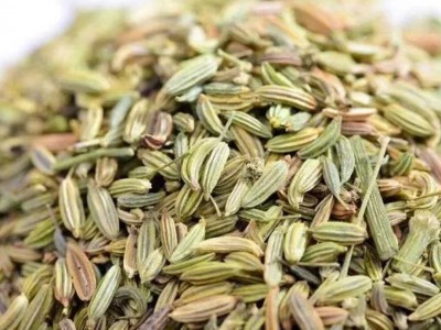 求购大量有机中药材小茴香图1