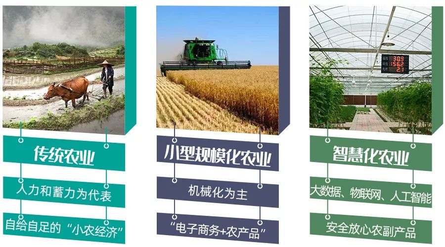 智慧农业股和农业有关系吗_农业合作社怎样成立_现代化智慧农业合作社