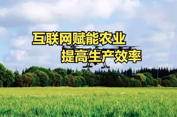 现代化智慧农业合作社_农业合作社怎样成立_智慧农业股和农业有关系吗