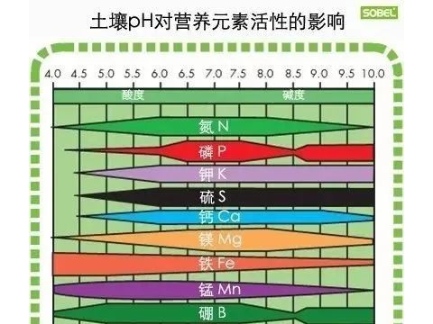 施用有机肥对土壤到底有哪些好处？​