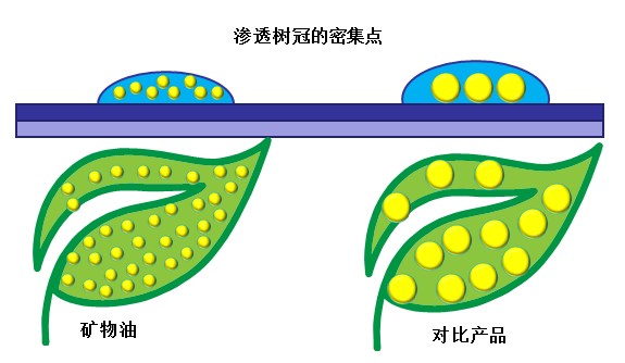 1629772484545902.jpg
